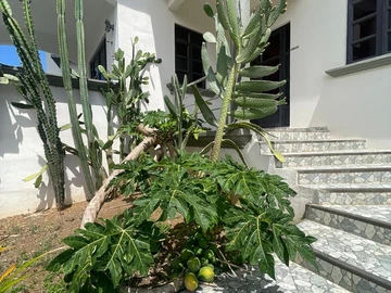 Villa de 4 Chambres