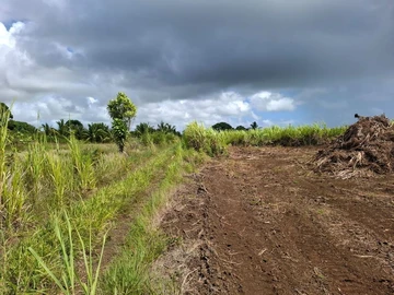 Residential Land