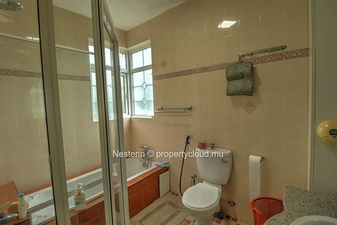 Spacious family house - St Paul
