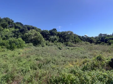 Agricultural Land