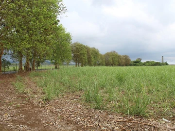 Agricultural Land