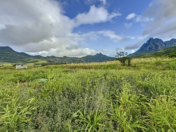 Land