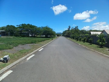 Terrain