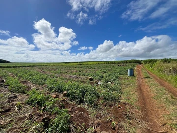 Agricultural Land