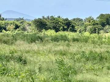 Agricultural Land