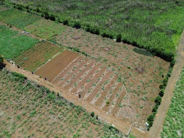 Terrain Agricole