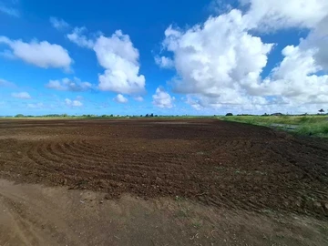 Commercial Land
