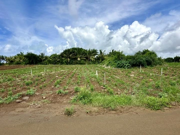 Agricultural Land