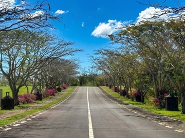 Residential Land