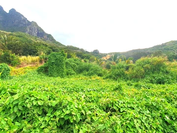 Agricultural Land