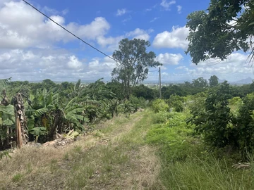 Agricultural Land