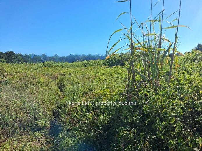 Terrain Agricole En Vente À Quartier Militaire
