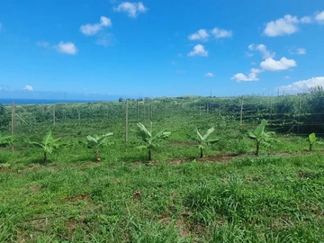 Agricultural Land