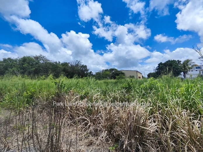 À vendre – Terrain résidentiel de 4 206 m² à Petit Raffray