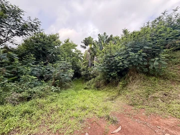 Agricultural Land