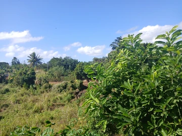 Agricultural Land