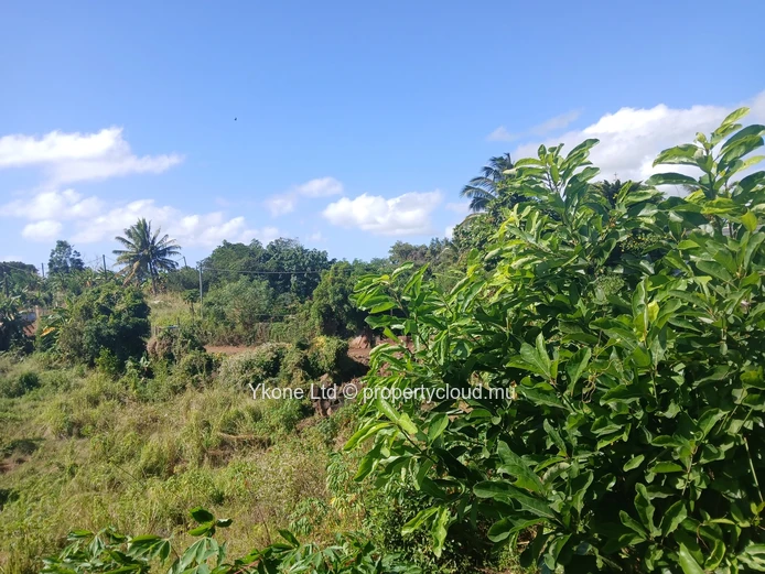 Agricultural Land For Sale In Bois Pignolet, Terre Rouge
