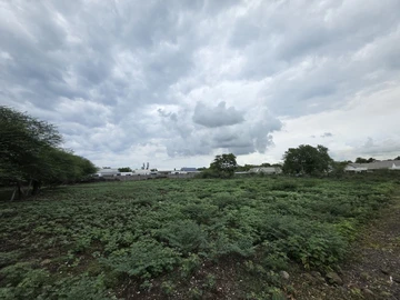 Residential Land