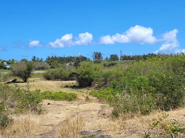 Terrain Résidentiel