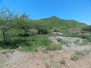 Terrain