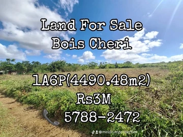  Agricultural land for sale (Bois-cheri Nouvelle France)