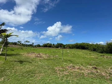 Land