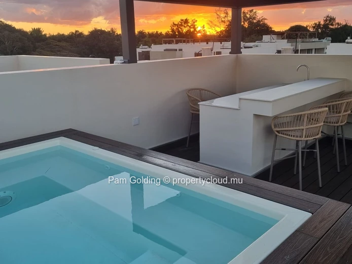 Élégant penthouse de 2 chambres avec terrasse rooftop privée et bassin de rafraîchissement | La Pointe Phase 2 | Poin...