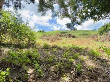 Terrain Agricole