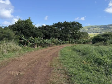 Agricultural Land