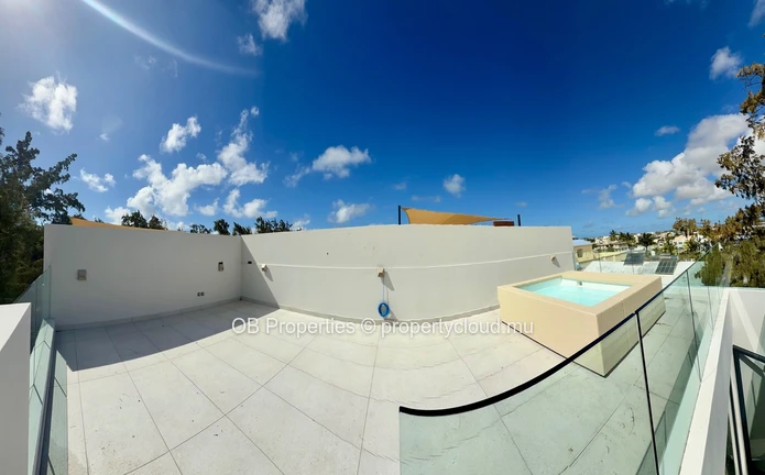 1 Bedroom Penthouse with Private Rooftop