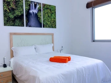3 Bedroom Apartment