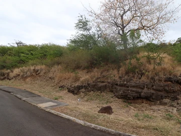 Residential Land