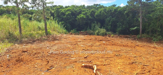 Prime Residential Land for Sale in Plaine D’hermitage – Ideal Investment Opportunity