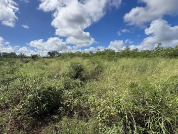 Commercial Land