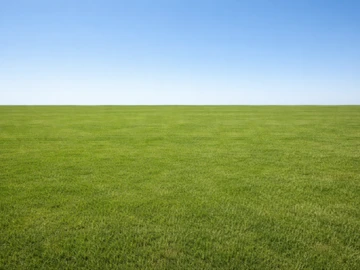 Residential Land
