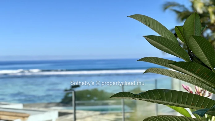 Rare Opportunity 