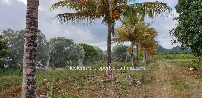  Agricultural Land 