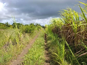 Residential Land