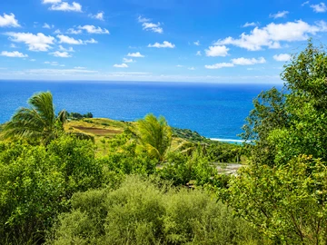 Residential Land