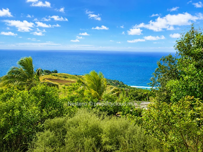  Terrain en pleine propriété de 829 m² avec vue sur mer à Trèfles – Une rare opportunité d'investissement côtier