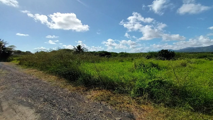 Tamarin freehold plot of land 2153 sqm. Groundfloor only. (Sole Mandate)