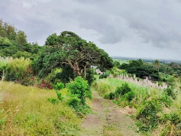 Residential Land