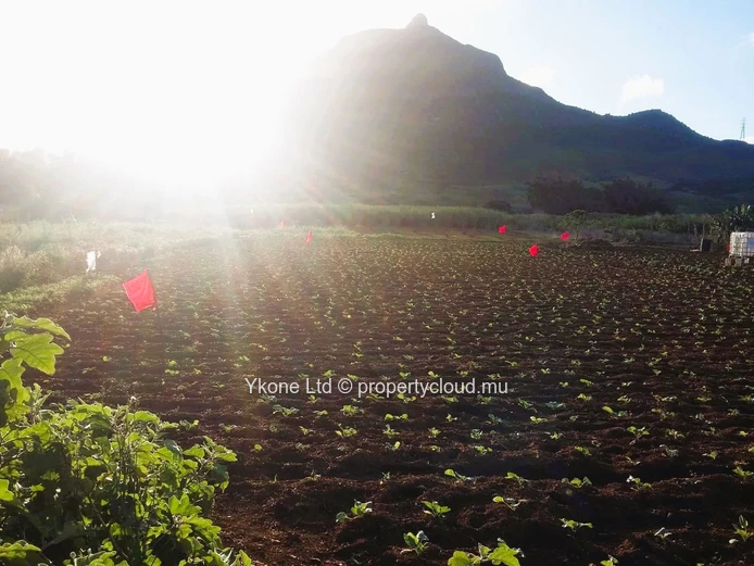 Agricultural Land For Sale At L'Avenir, St Pierre