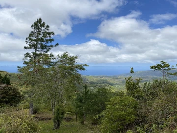 Terrain Résidentiel