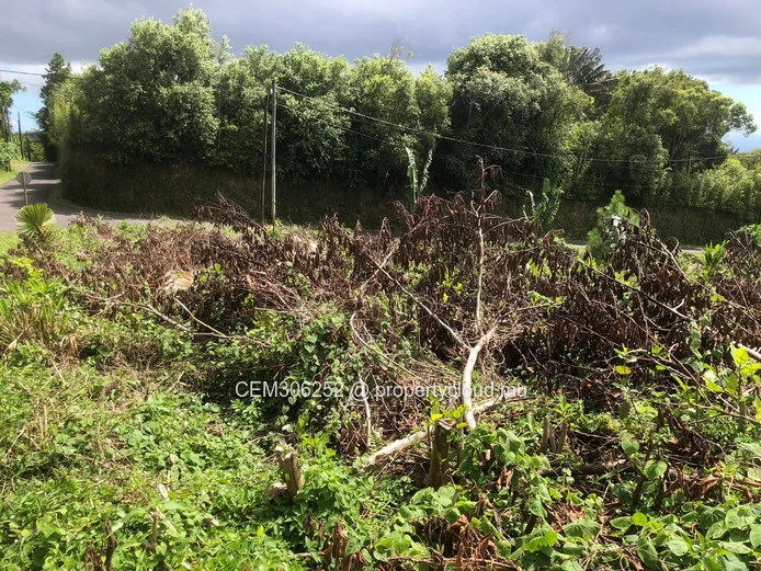 Land for Sale – Avenue de la Vignac, Trou aux Cerfs, Curepipe