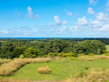 Terrain