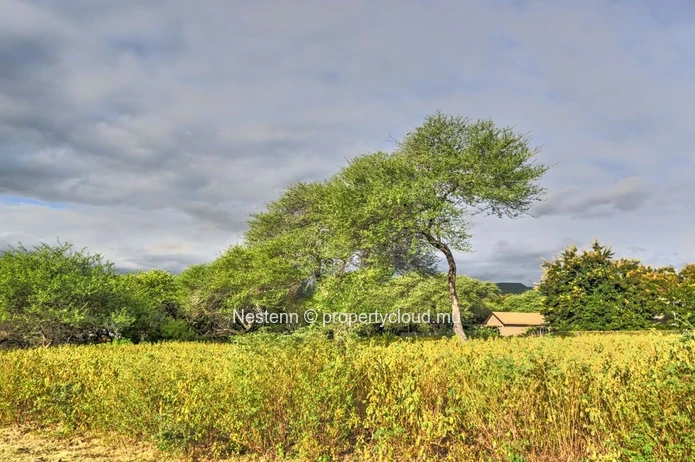 Exceptional plot of land of 2,167.66 m² – Highly sought-after gated community 