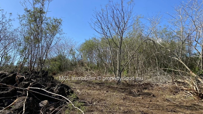 Land for sale in Anse la raie