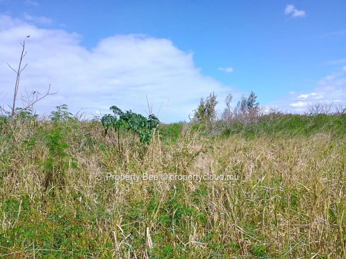 200 metres to Mont Choisy Smart City's Bois des Champs