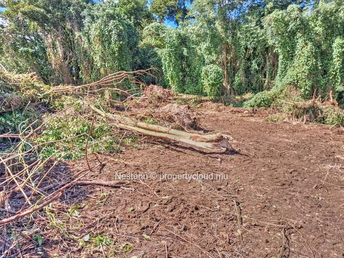 Rare Terrain De 2 935,8 M² À Pamplemousses